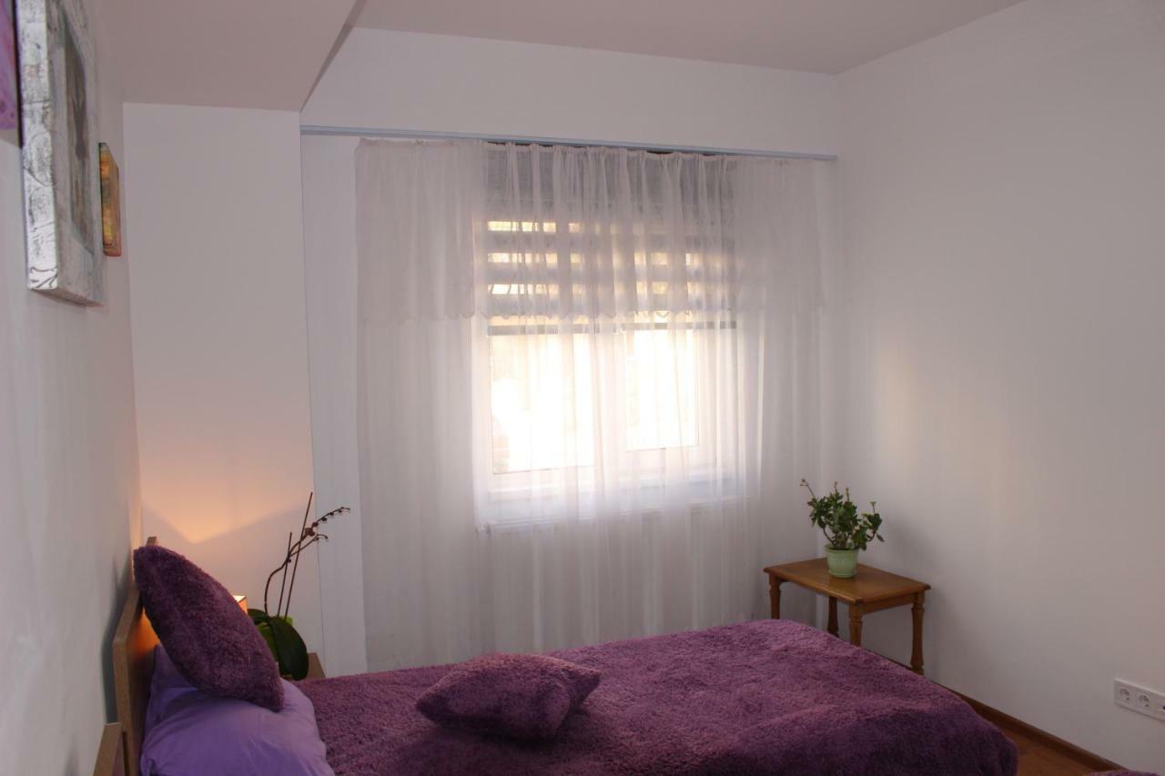 Still Apartament Крайова Экстерьер фото